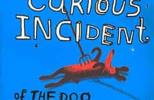 The curious incident of the dog at midnight