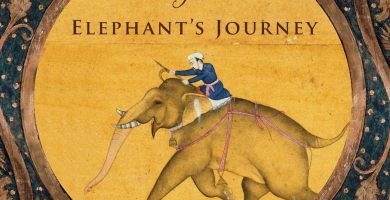 The elephant's journey